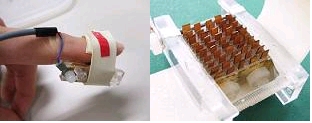 ICPFTD.jpg
